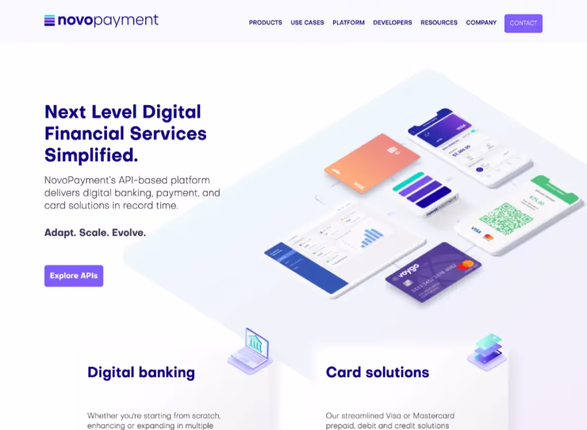 NovoPayment fintech campaign